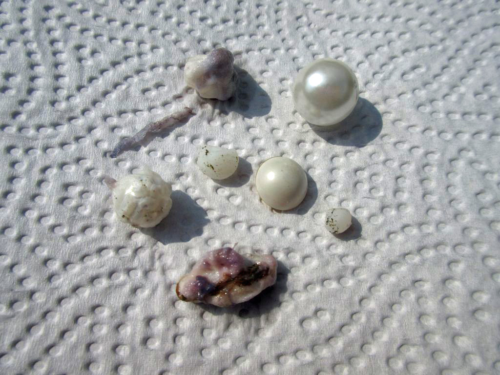 Perlen nach 24 Stunden in Salzsäure