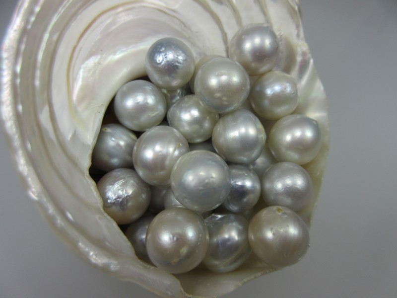 ungebohrt 11mm Silberhelle fast runde Südseeperle Naturfarbe 