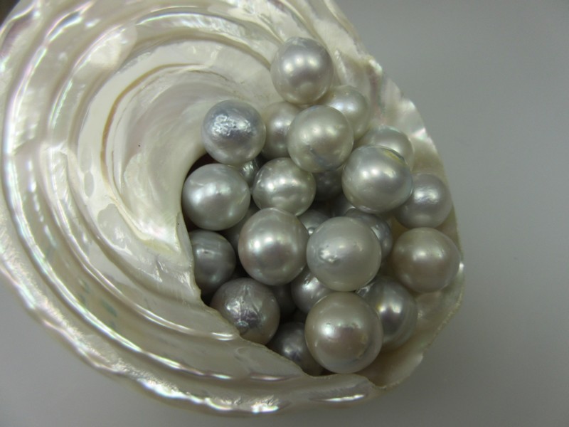 Silberhelle fast runde Südseeperle Naturfarbe ungebohrt 11mm 