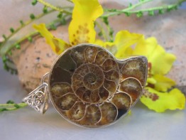 Versteinerte Muschel in echt Silber/ Anhänger Ammonit