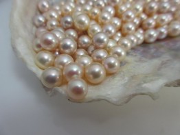 Süßwasserperle einzeln, ungebohrte AAA-Grade Perle 6,5-7,0mm