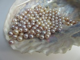 Süßwasserperle klein, ungebohrte AAA-Grade Perle 7,5-8mm