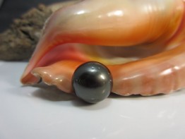 Tahitiperle schwarz,einzelne Perle gigantische 15,8mm Nr.2